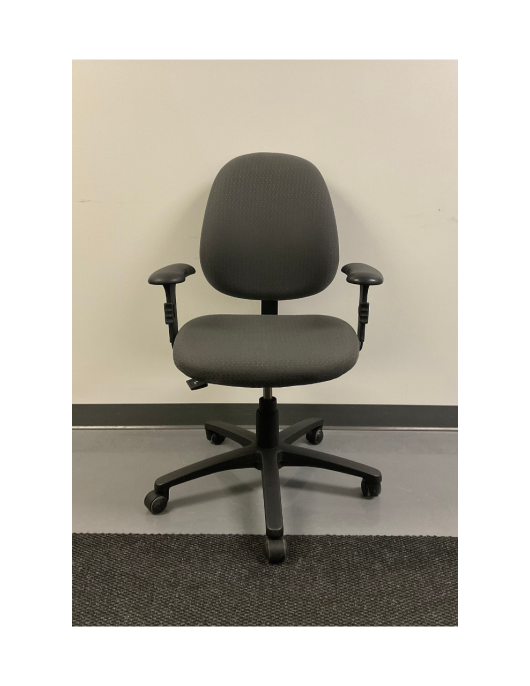 Ergocentric - Ergonomic Task Chair Ergocentric - Ergonomic Task Chair