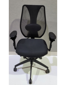 Ergocentric - Ergonomic  Task Chair